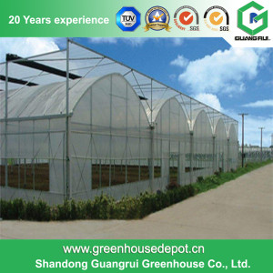 Mutil Span Agriculture Plastic Film Greenhouse Supplier for Vegetable Tomato Flowers