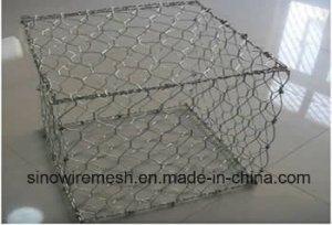 Sailin Hexagonal Gabion Mesh Construction Net