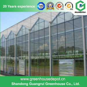 Factory Price PC Sheet Greenhouse with High Quality