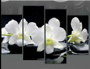 Wholesale Cheap Large Size Beautiful Wall Art White Orchids Canvas Prints