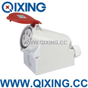 Qixing European Standard Female Industrial Socket (QX1557)